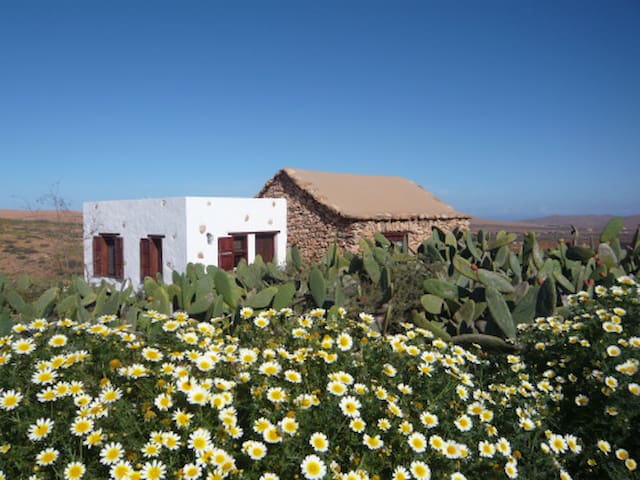 Get lost in the desert #Fuerteventura rural