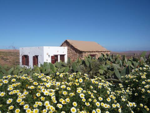 Popular Airbnb listing: Get lost in the desert #Fuerteventura Relax in Puerto Del Rosario