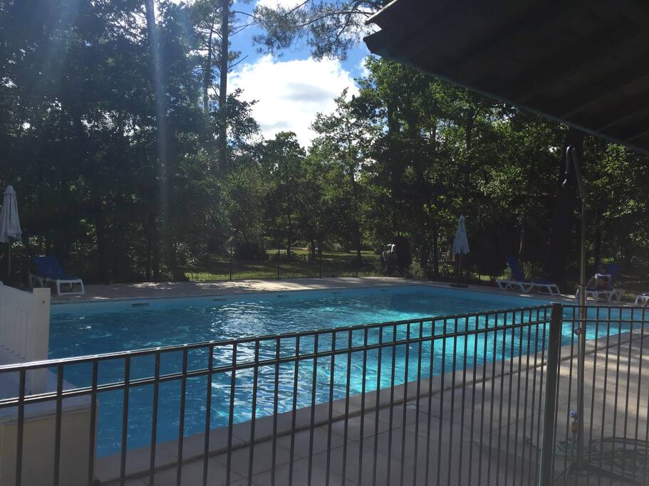 piscine grand bain sécurisée par clôture