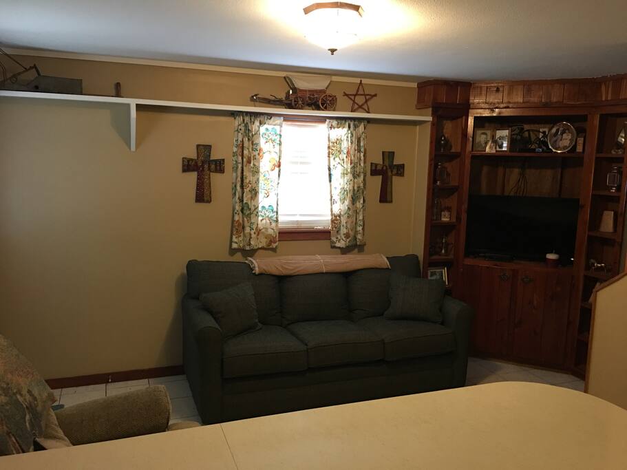 Living area with sleeper sofa