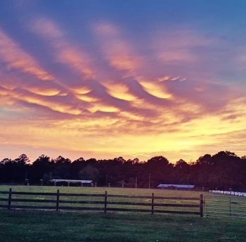 Painted Sky Homestead Farmhouse