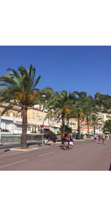 une partie de la promenade