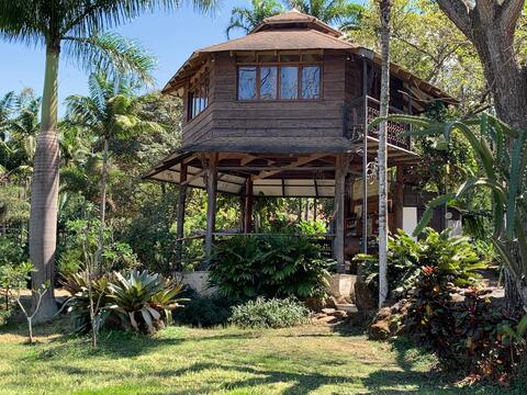 Dreamy tree house, a jungle in middle of the city!