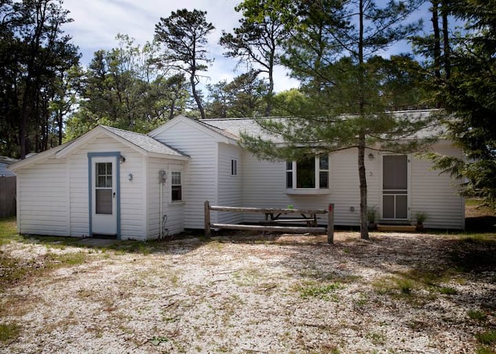 10 Best Airbnb Cabins In Massachusetts, USA Updated 2024 Trip101