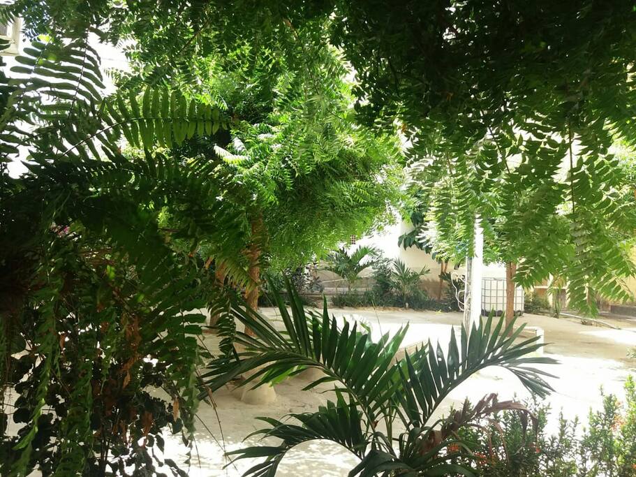 vista da janela do quarto