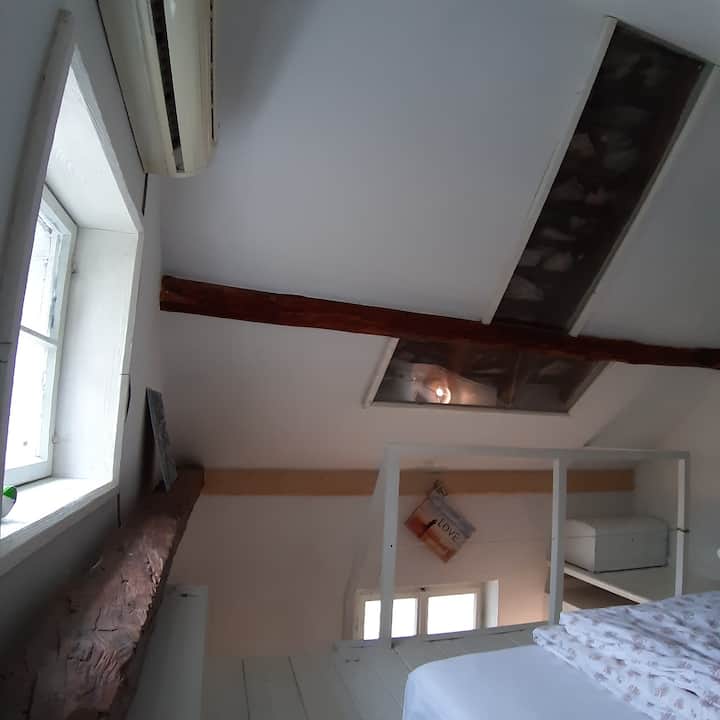 ...and loping beams and a interesting glass ceiling where you can see
authentic dalmatian roof. (: 
