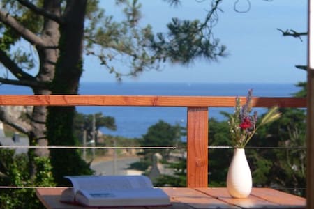 house with terrace facing the sea