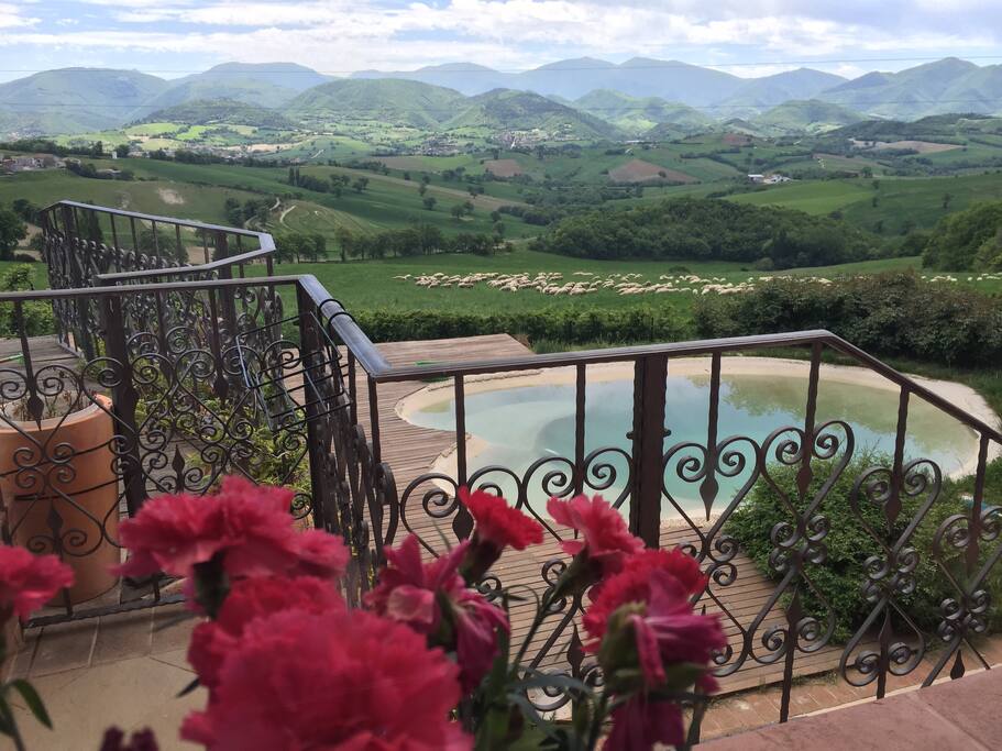 Il verde intenso delle colline a primavera - The lush green hills in spring