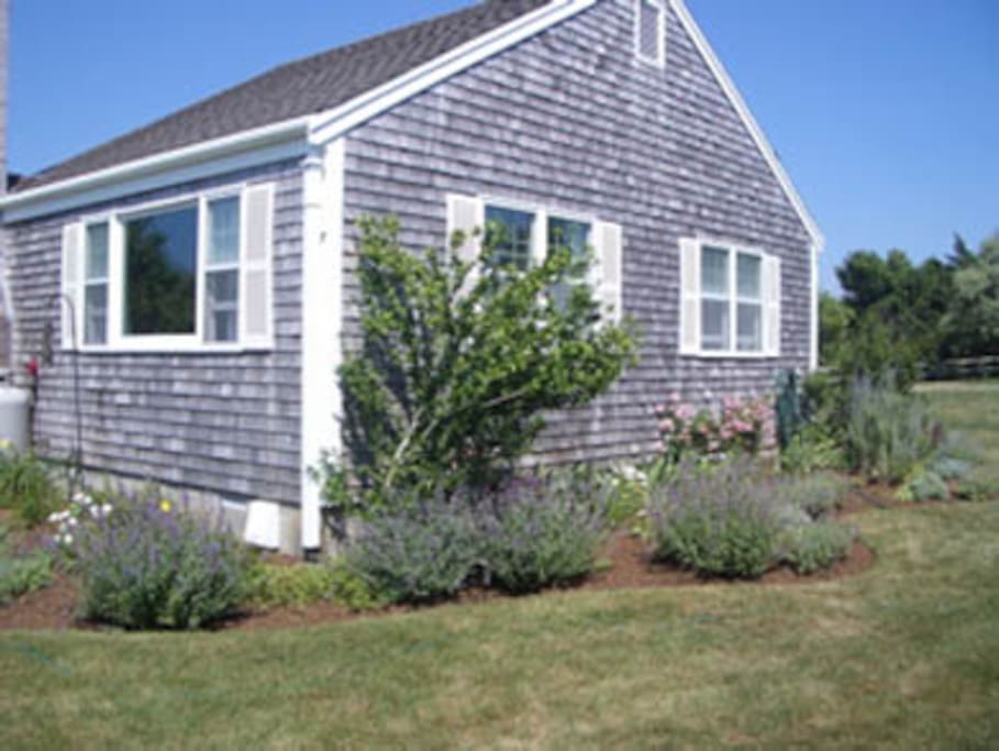 Meadow View Walk to Beaches Houses for Rent in Nantucket