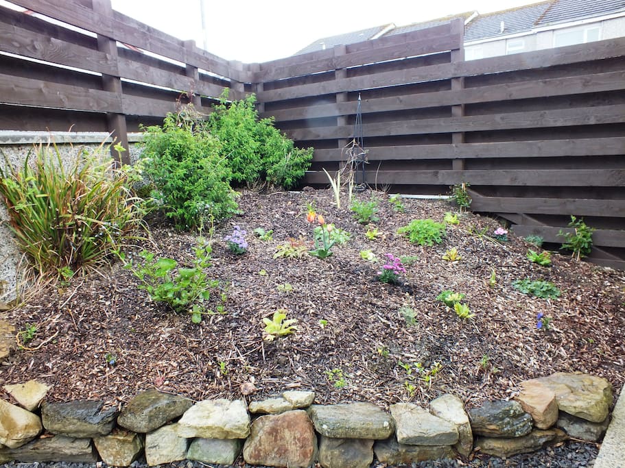 Fenced back garden