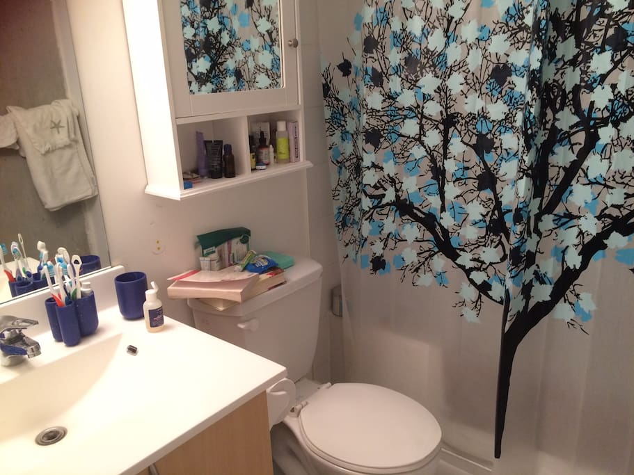 Full bath tub and shower with great water pressure