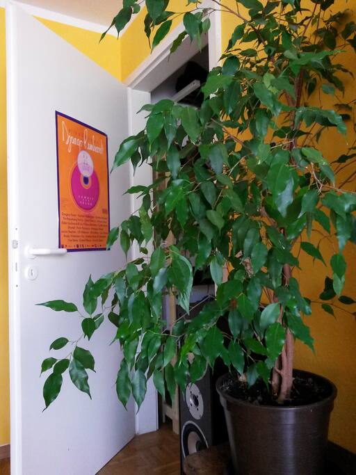 Entrance to the livingroom