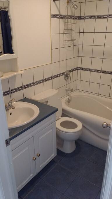 Main bathroom upstairs