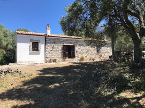 Charming Gallura Stazzo for rent