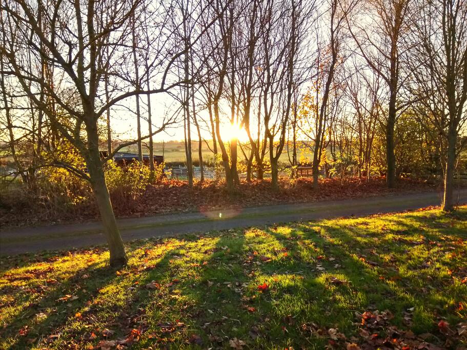 View across the fields from garden