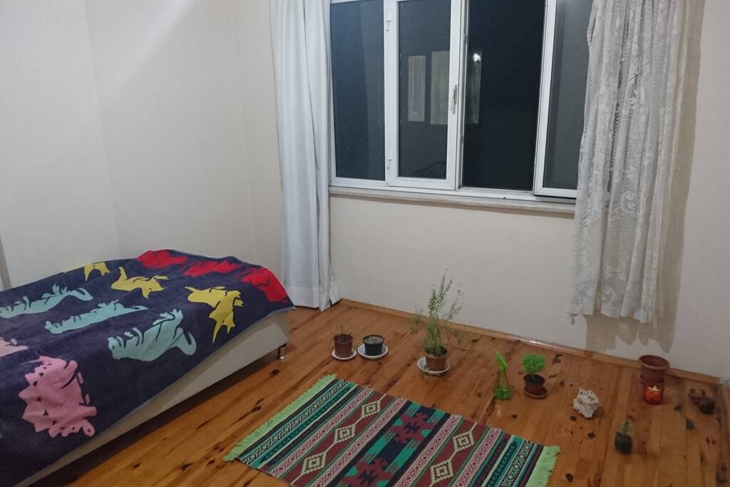 A room with some herbs.