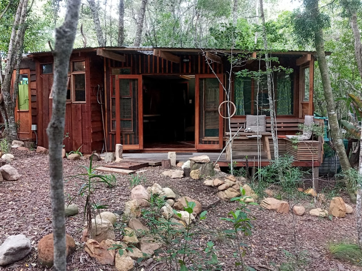The cabin is surrounded by indigenous forest, featuring wooden walls and large windows. A spacious deck with relaxing benches and a table is visible, along with natural stone landscaping. Lush greenery frames the structure, creating a serene and natural environment.
