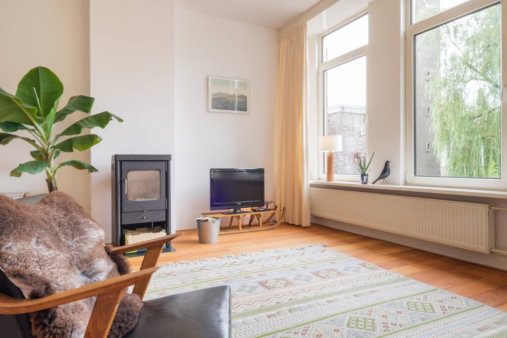 Livingroom with fireplace and television