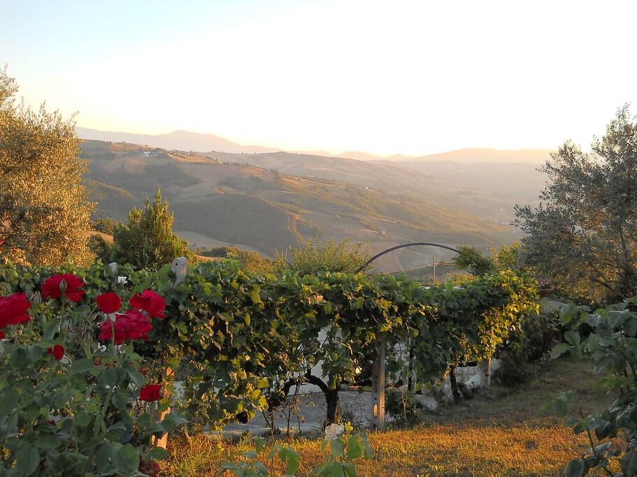 View from the front terrace