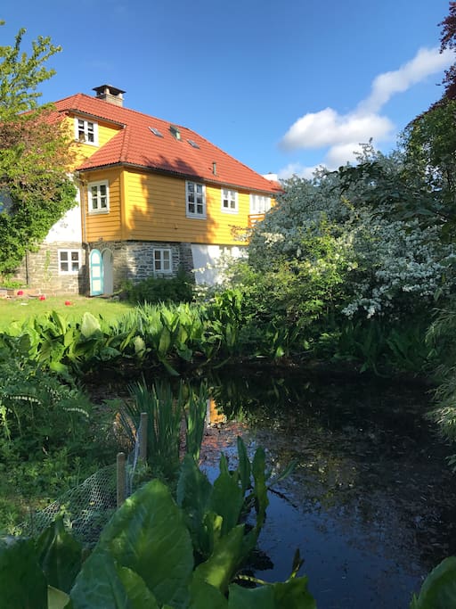 House and garden
