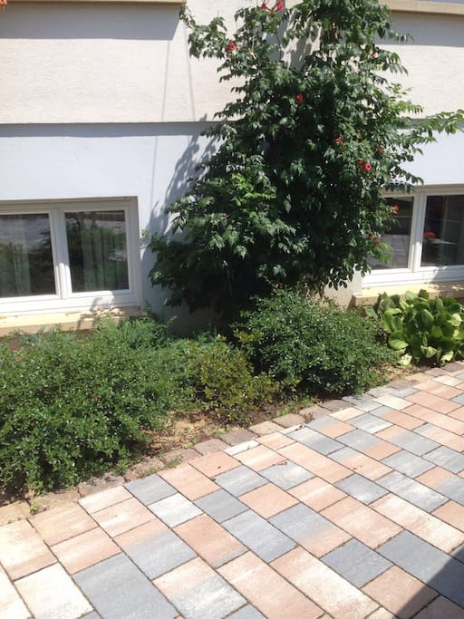 Fenêtres de l'appartement