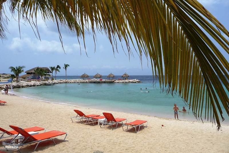 A serene beach scene is captured, featuring several lounge chairs on soft sand. Clear turquoise waters gently lap at the shore, while palapas are visible in the distance. Palm fronds sway overhead, adding to the tranquil beach setting.