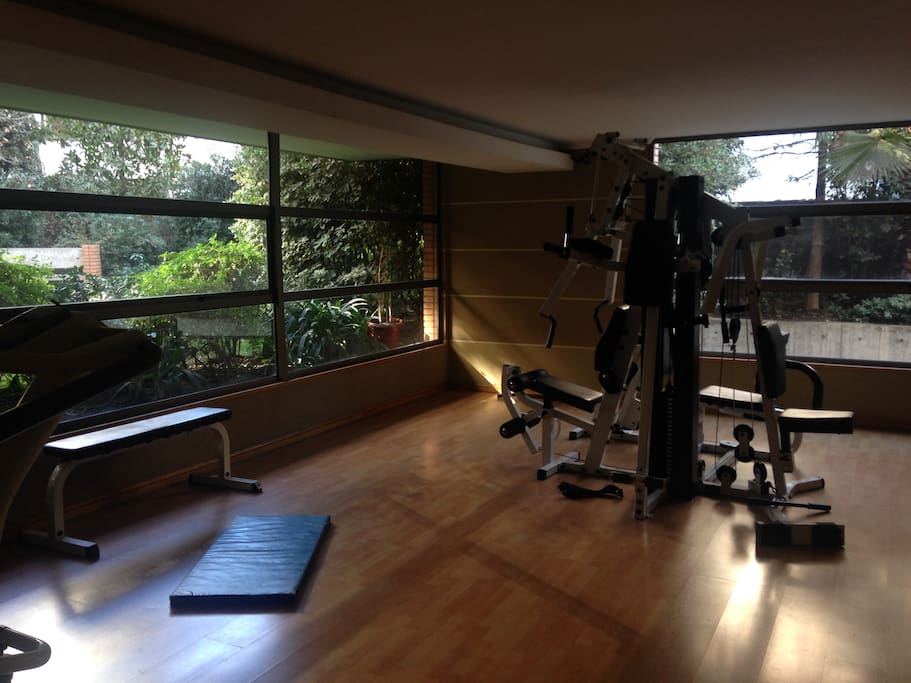 Gimnasio