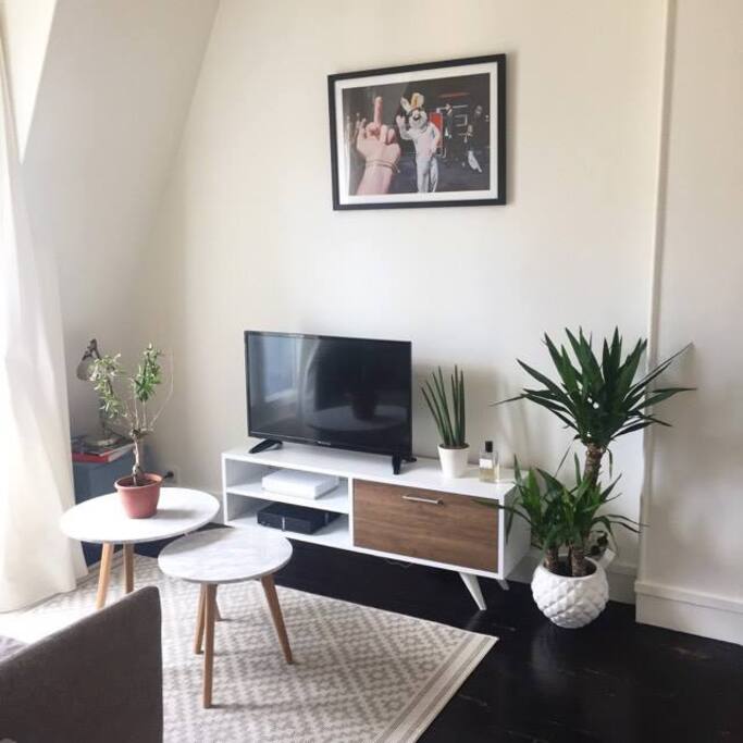 Salon / Living Room