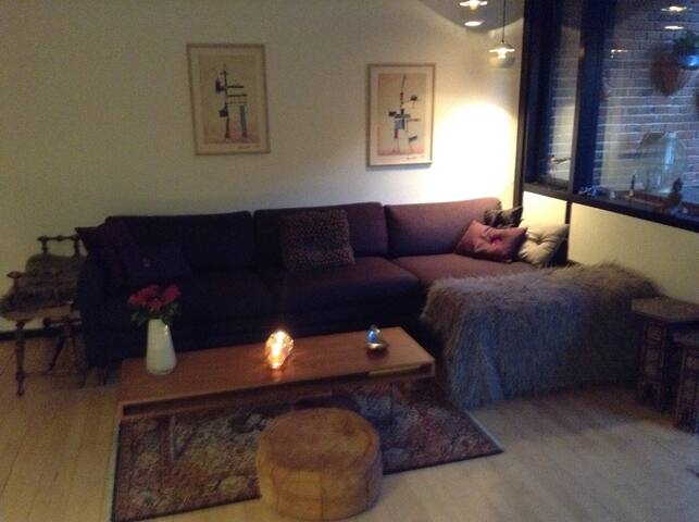 125 sqm apartment Centrally located in Copenhagen gallery image 4