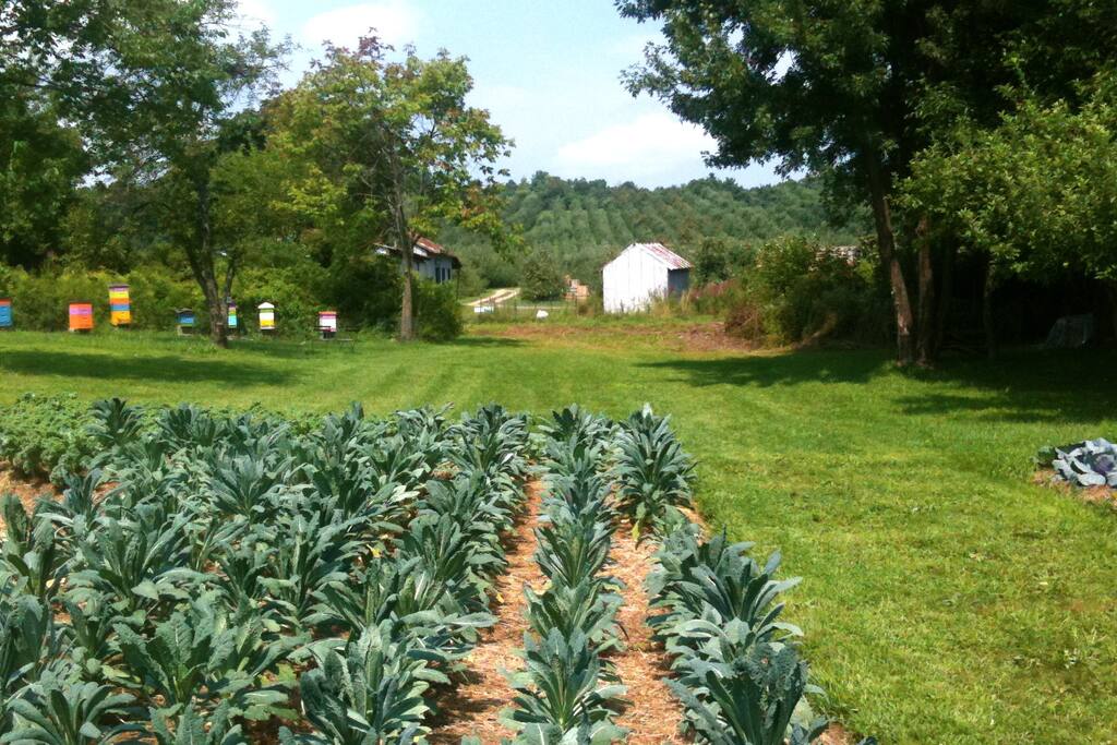 is new safe york airbnb how Orchard in Liberty   Yurts Farm Highland Yurt View for Rent