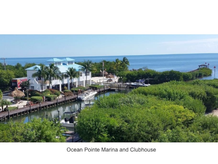 This is a view of our marina.