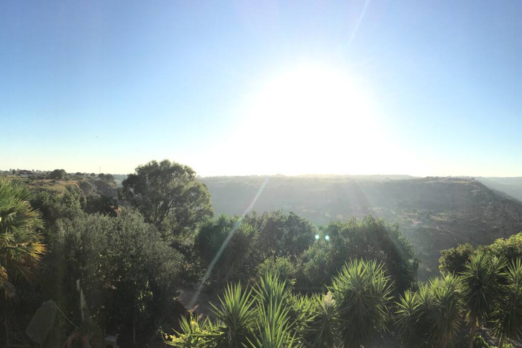 View from the entry balcony