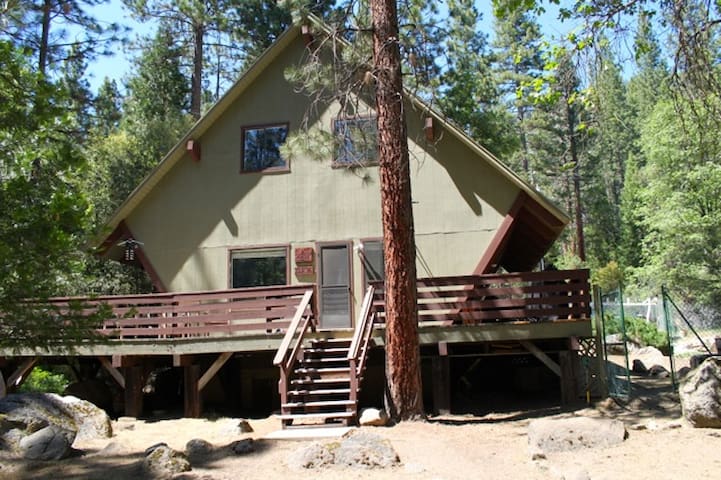 Yosemite's Creekside Birdhouse
