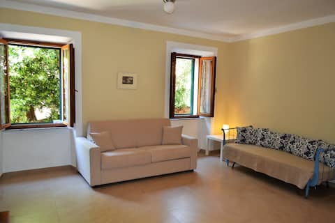 Top Airbnb: Elba Island: Spacious studio apartment for 3 people in Rio