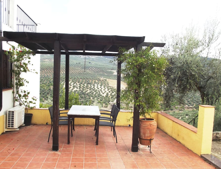Terrace with Pergola