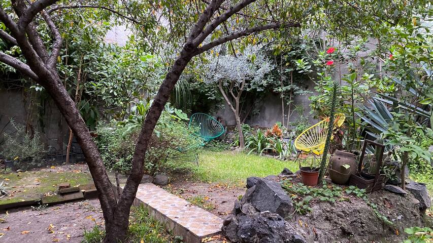 Art deco house & garden, ten min walk to Condesa gallery image 4