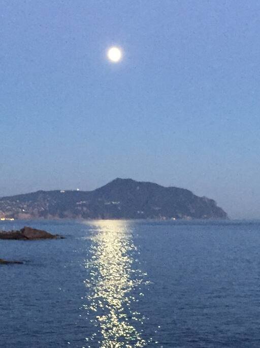 Enchanting Nervi