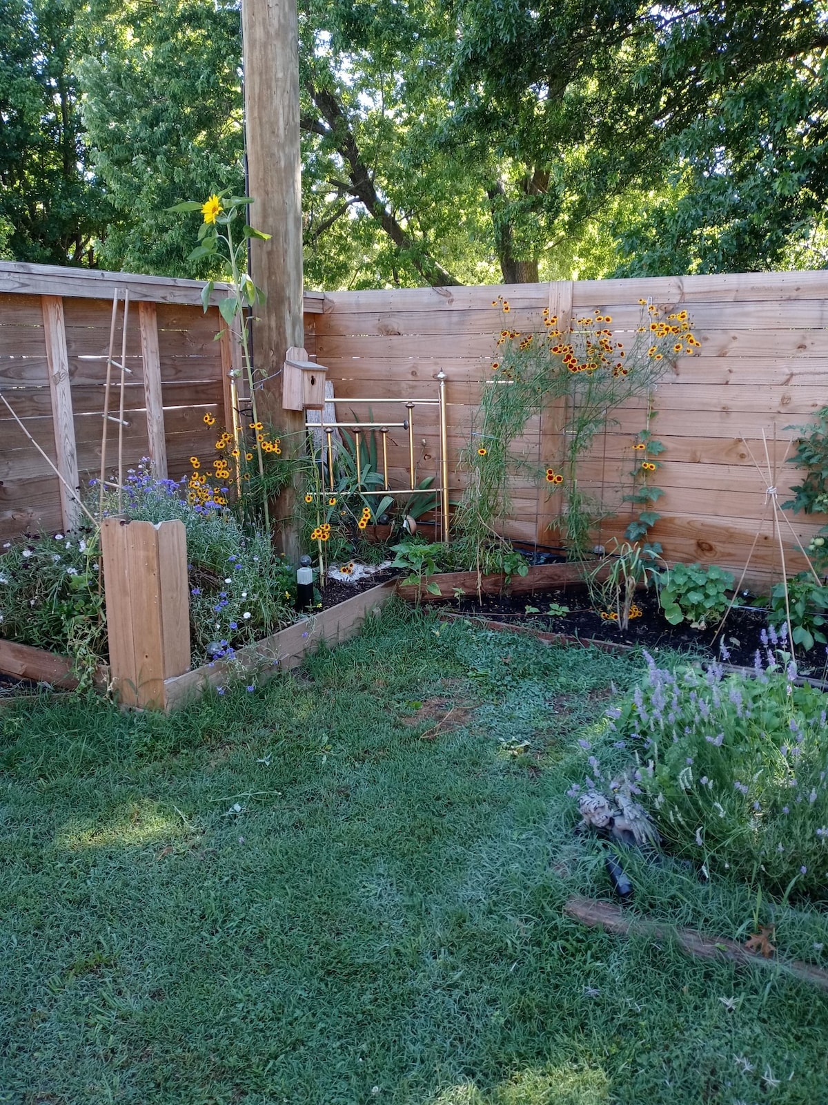 A garden area features a variety of plants and flowers, including tall sunflowers and vibrant yellow blooms. Wooden fencing surrounds the space, providing privacy. A small trellis and garden bed with herbs and greenery are visible, creating a serene outdoor retreat.