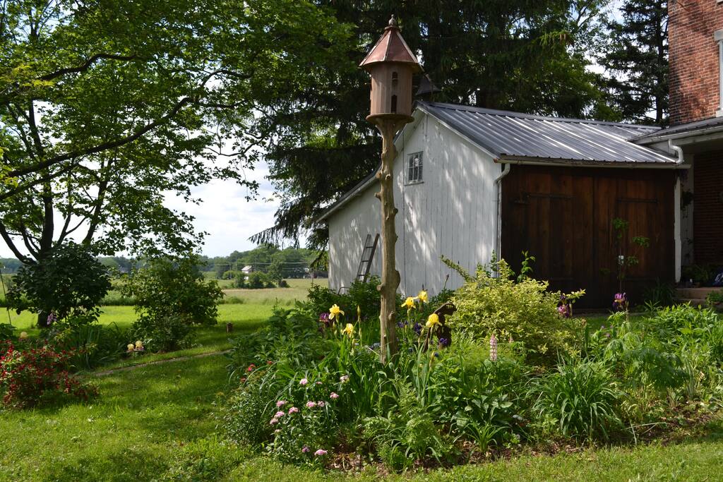 Summer kitchen