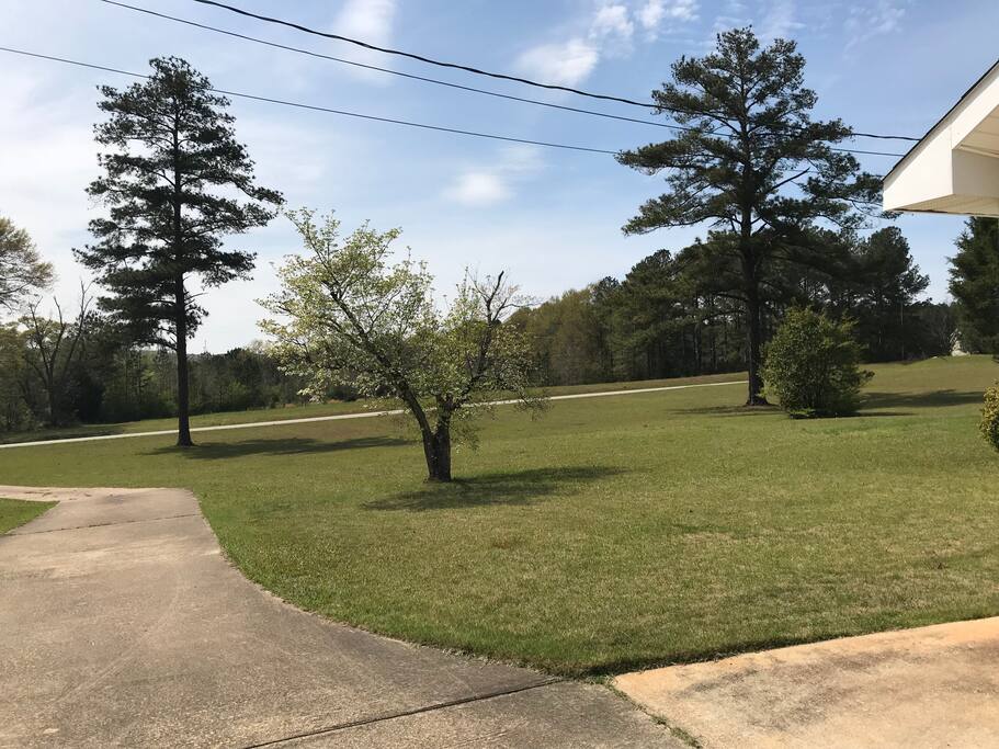 Front yard