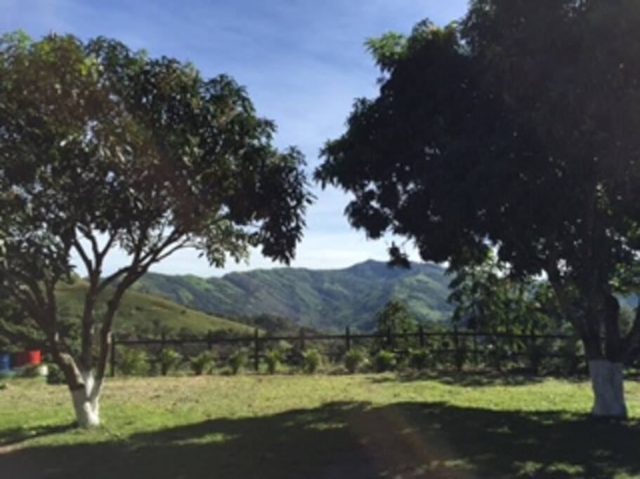 Vista desde la casa