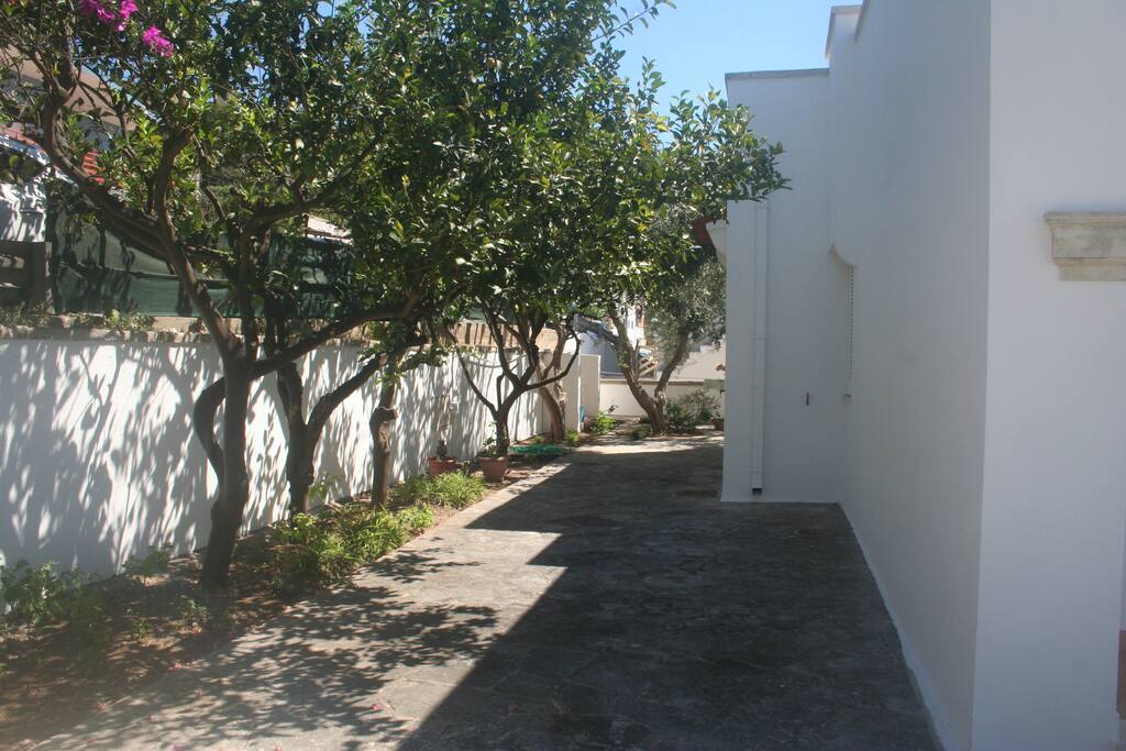 Giardino