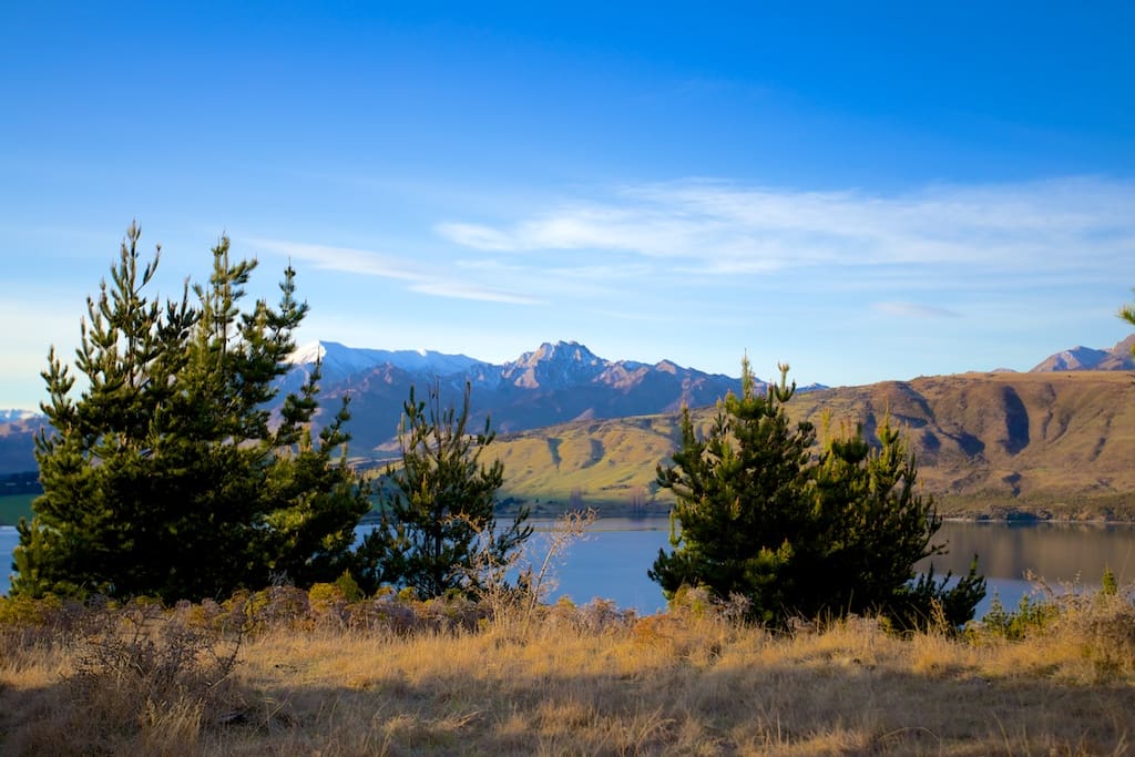 View from site