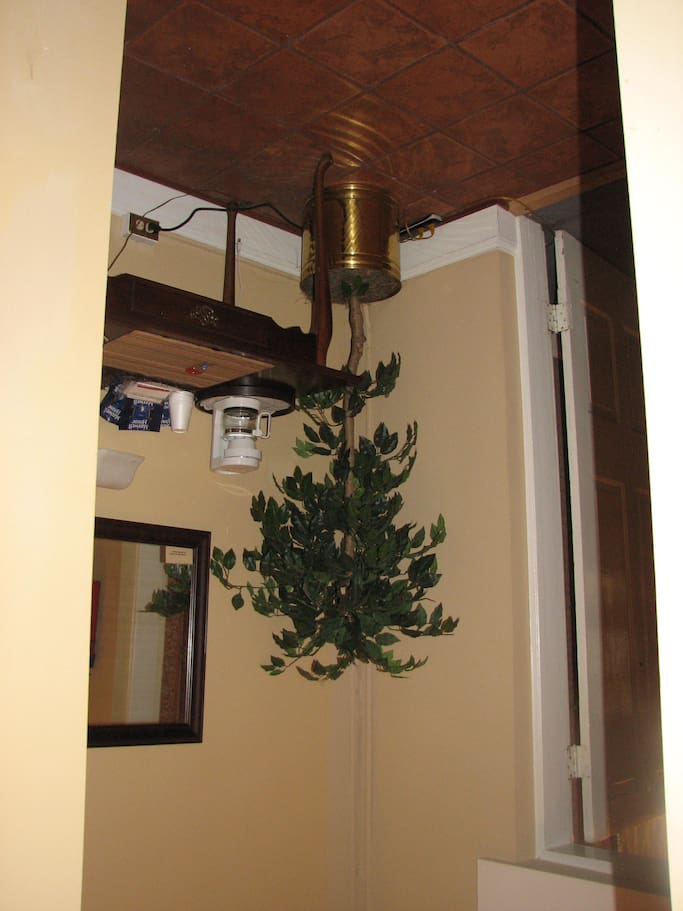 (Sorry this picture is laid on it's side.) Entrance way to Room C. One of the large closet's is in this area.