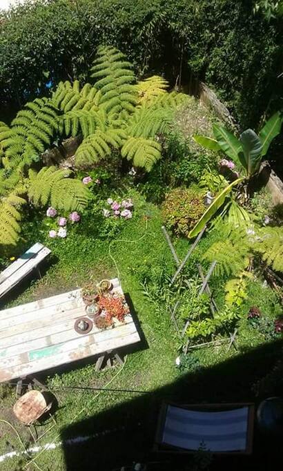 Jardin