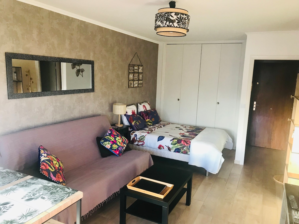 Основна стая с истинско легло и разтегателен диван.