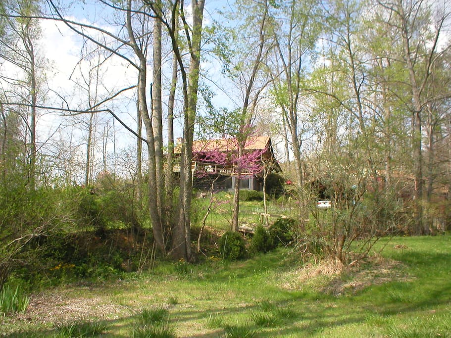 Cozy Cabin in Appalachian Mountains Cabins for Rent in Green Mountain, North Carolina, United