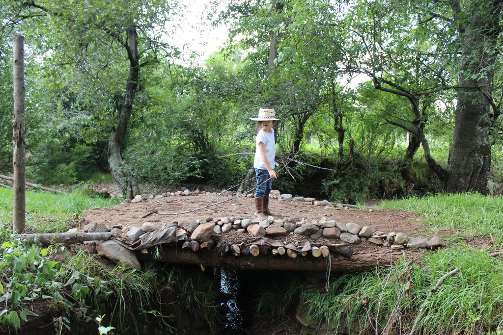 Como parte de la estancia les ofrecemos una visita guiada por todo el terreno con una duración de 3 horas.