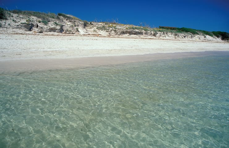 ALCUDIA BEACH -MALLORCA HOLIDAYS