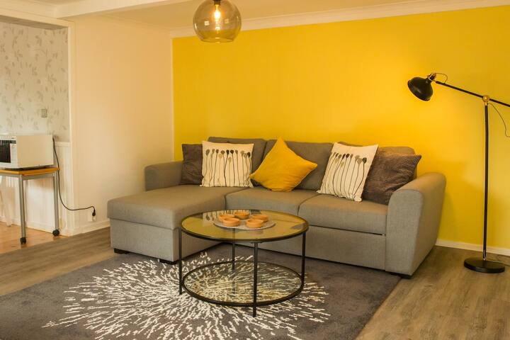 ห้องนั่งเล่นพร้อมเตียงโซฟา